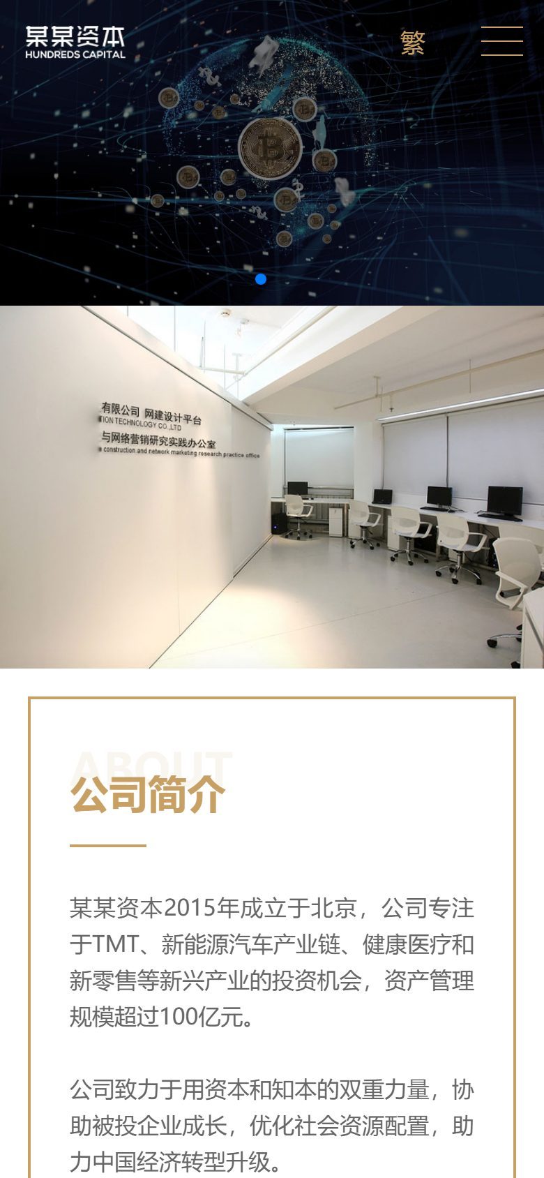 金融资本咨询企业官网建设方案